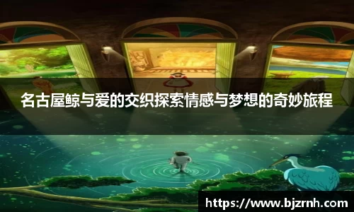 中欧体育